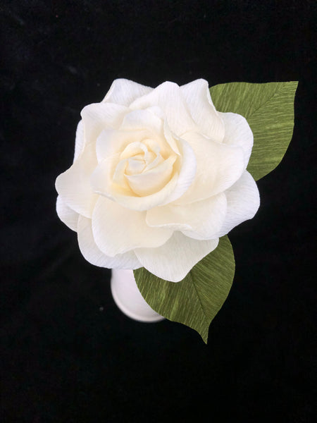 Gardenia  with leaves
