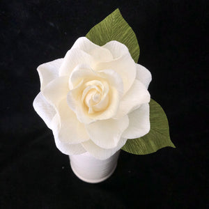 Gardenia  with leaves